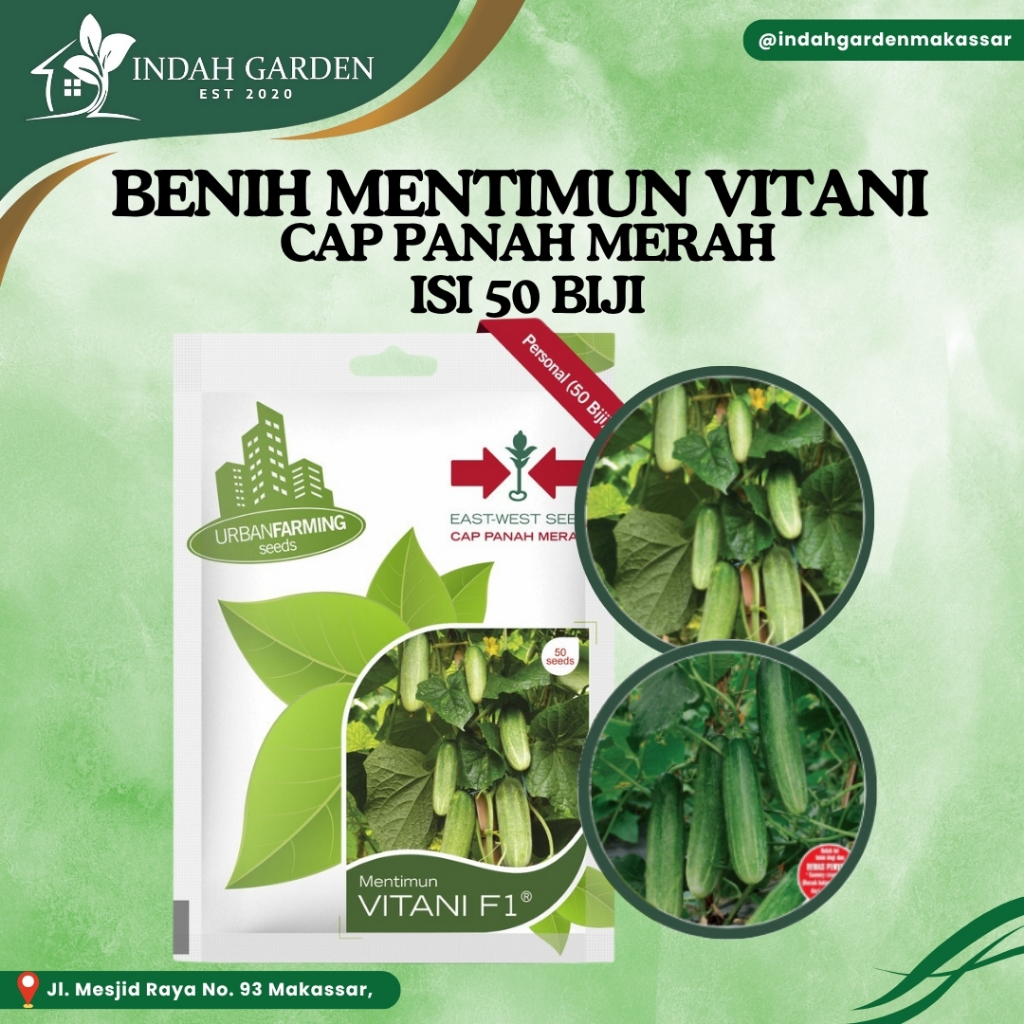 Cap Panah Merah - Benih Mentimun Vitani isi 50 Biji