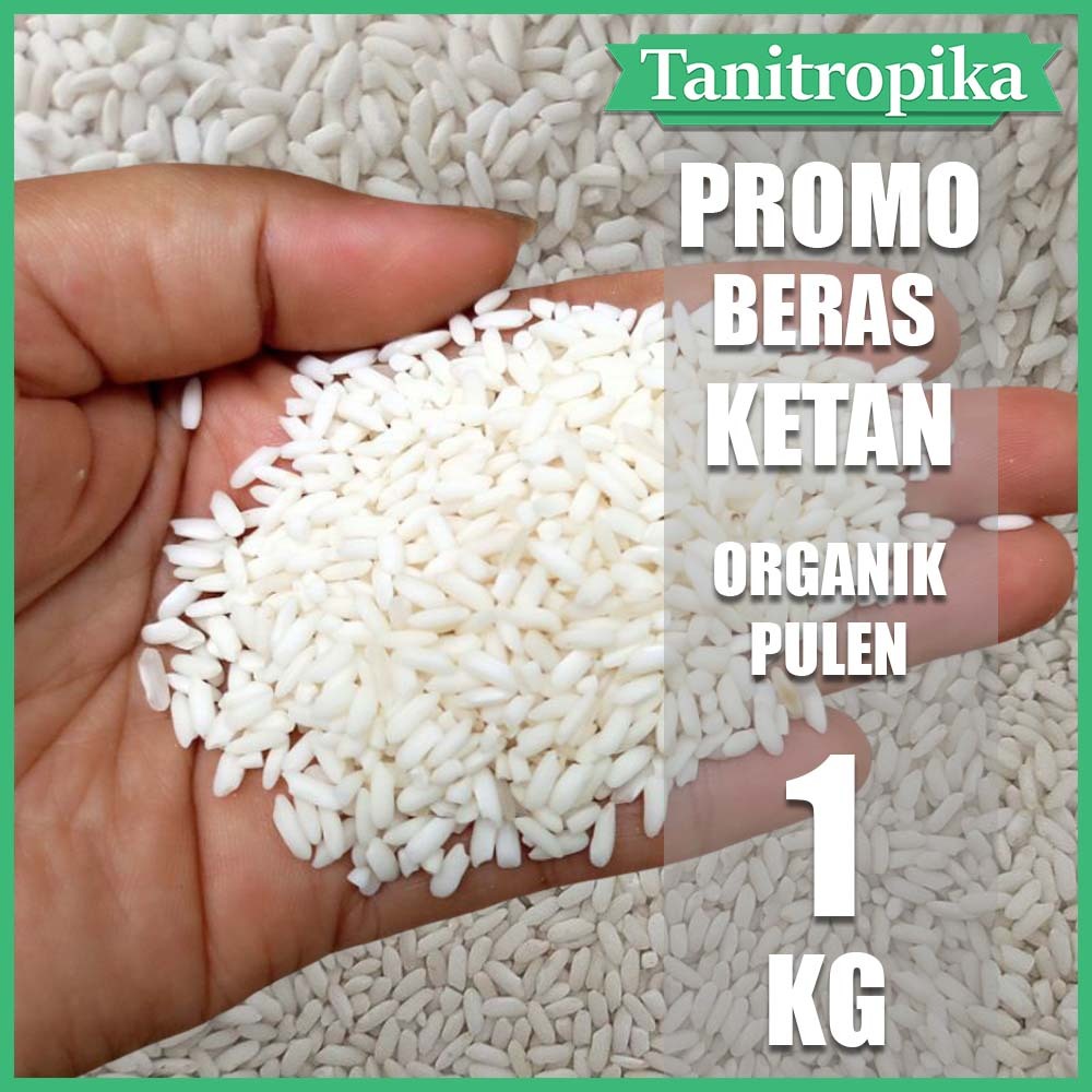 

Beras Ketan Pulen ORGANIK 1 kg bersih toko tani tropika