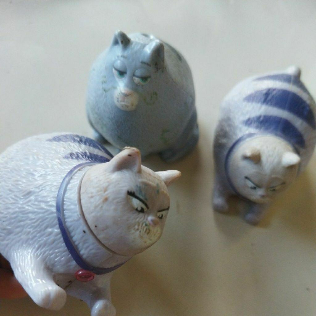 kucing gembul imut preloved
