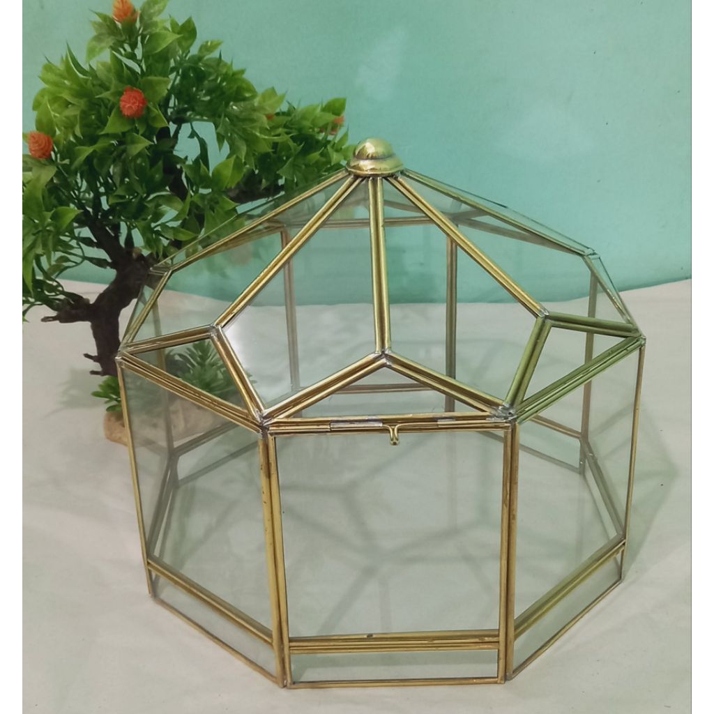 terarium box seserahan / box hantaran nikah