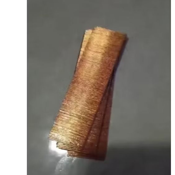 Paku Sangkar Burung Kuning