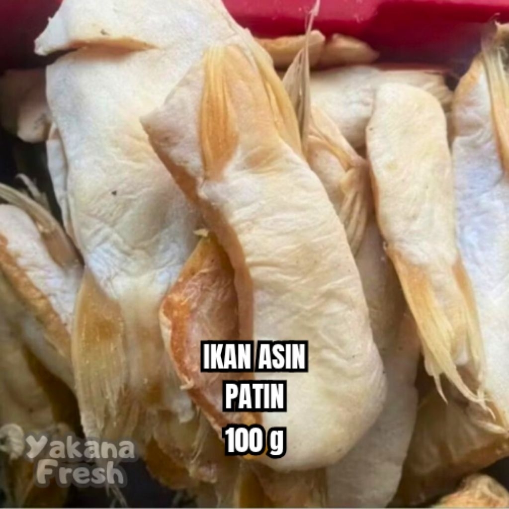 

Ikan Asin Patin