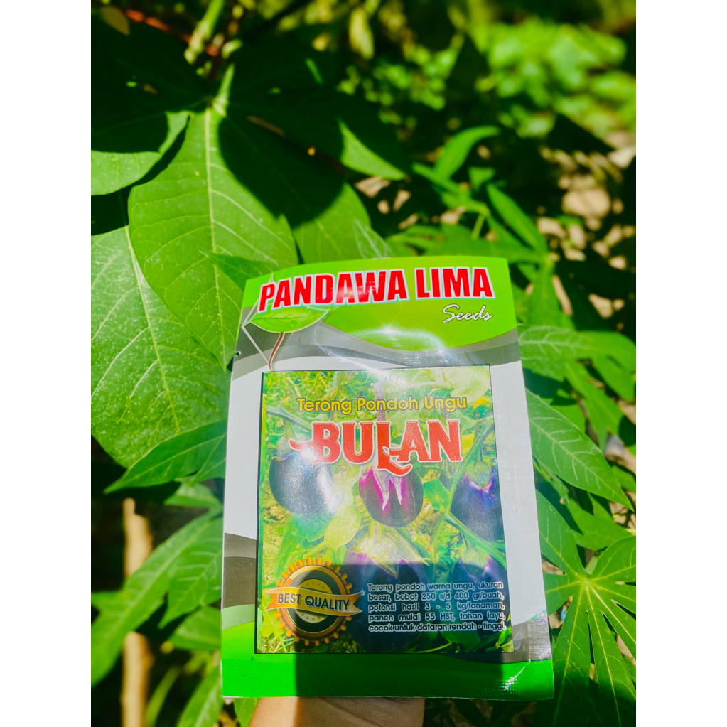 BULAN (Terong Pondoh Ungu)