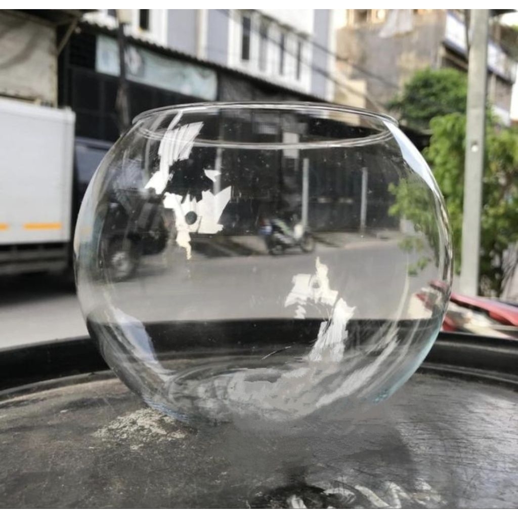 toples aquarium bulat 12liter fisht bowl luna