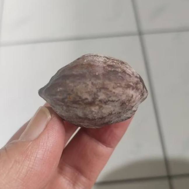 Kemiri Adu Muncang Adu LK Malangbong Pasangan Mewah