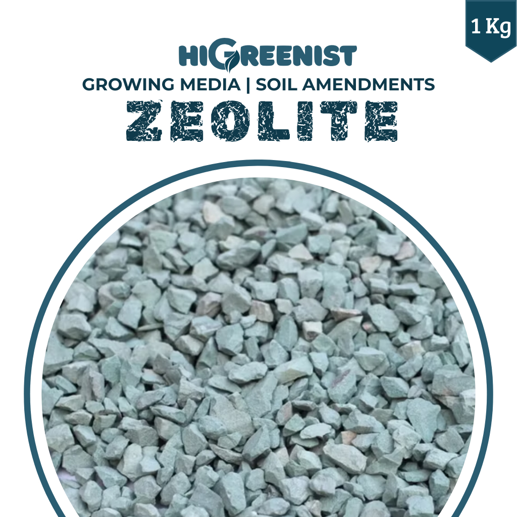 Zeolite (1Kg) -  Media Tanam Zeolite Cocok Untuk Bonsai & Kaktus - Filter Air - Campuran Pot Aerasi 