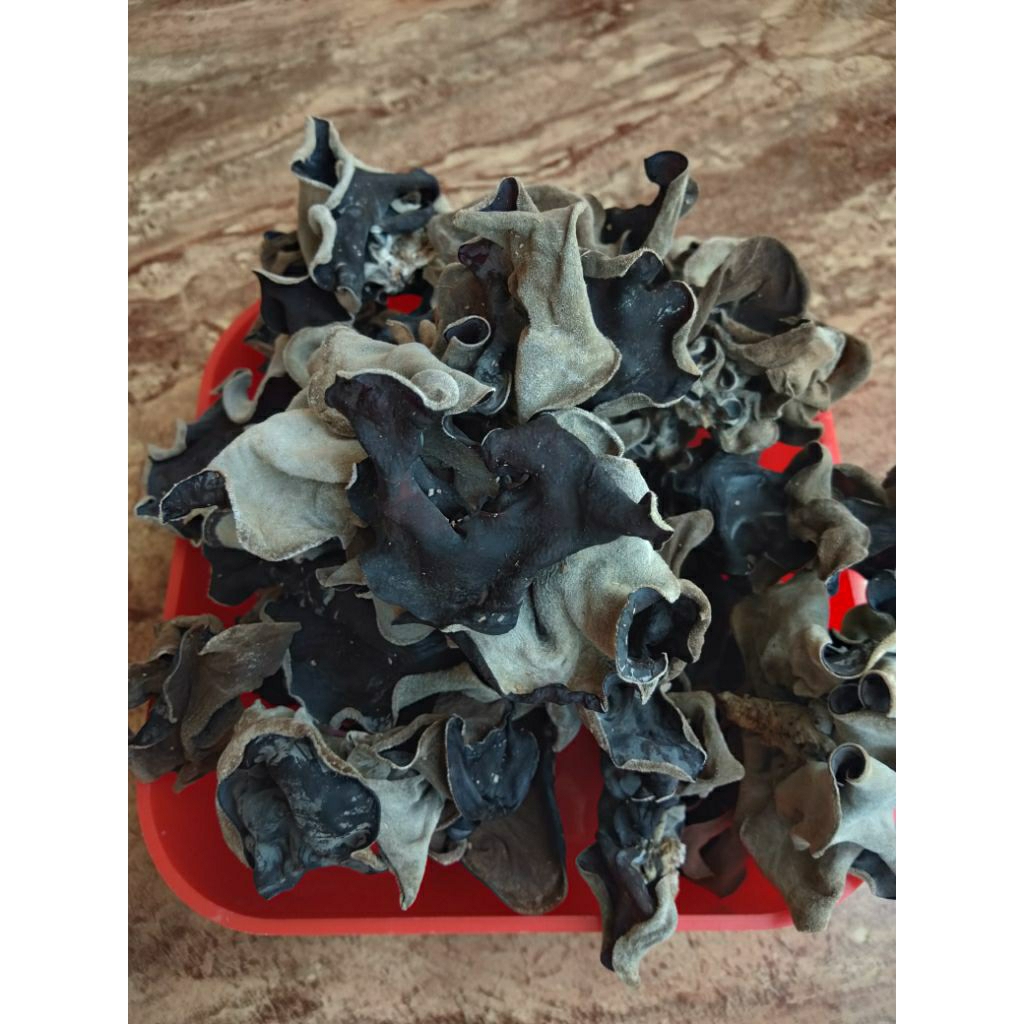 

jamur kuping kering super original 200 gram