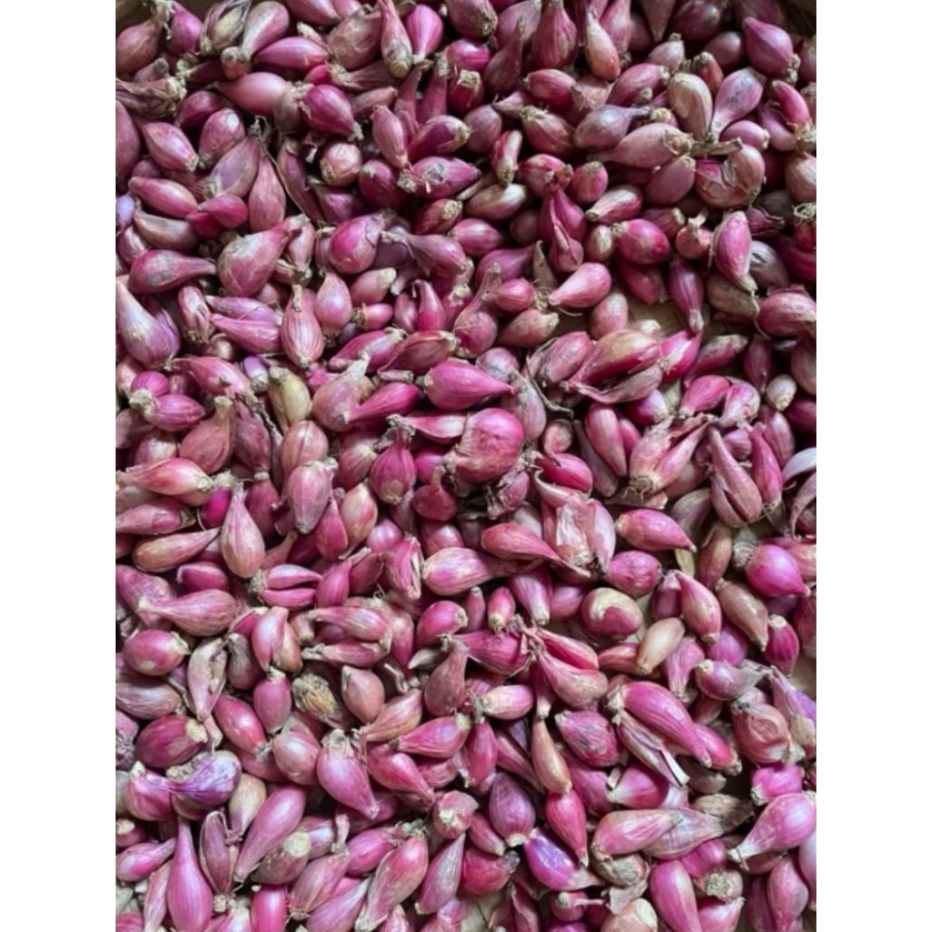 

bawang merah ukuran kecil mini 1kg