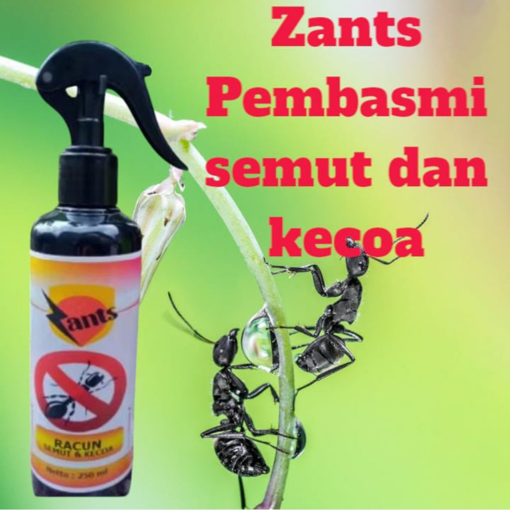Racun semut sepray pembasmi semut merk ZANTS super ampuh racun semut semprot