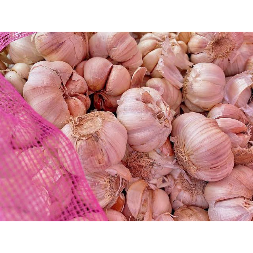 

bawang putih reguler 500g
