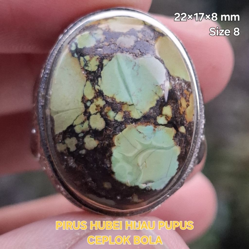 Pirus Hubei atau Xinjiang Hijau Pupus Serat Hitam Ceplok Bola