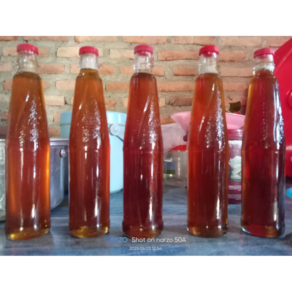

madu hutan asli tawon gong
