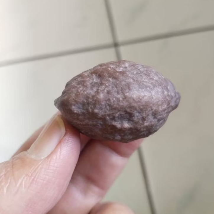 Kemiri Adu Muncang Adu Anak 4G Full Tua