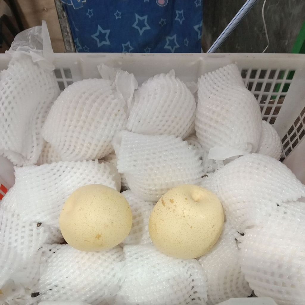 

buah fiir madu