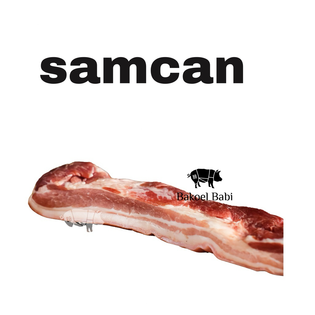 

PORKBELLY/SAMCAM/SANCAM/SAMCAN PAKAI KULIT/GOSAM/SAMSAM