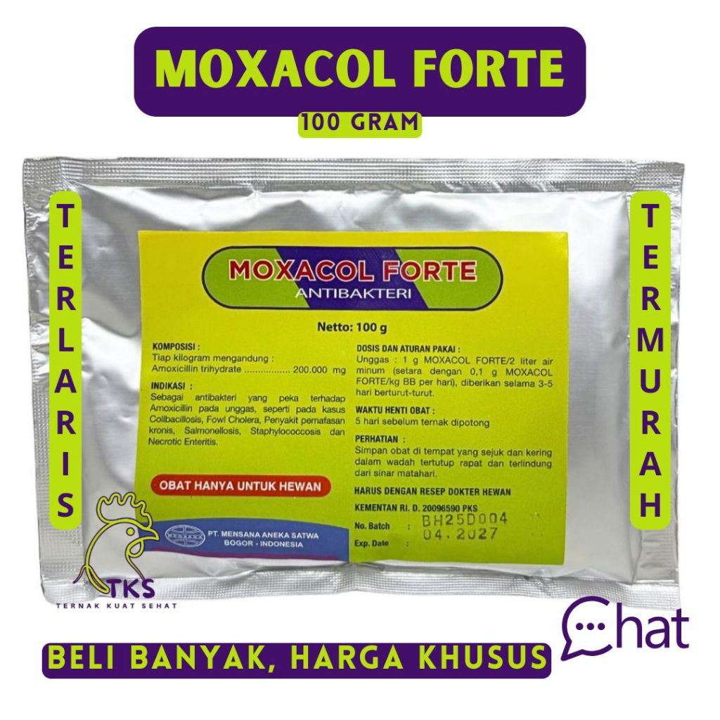 MOXACOL FORTE 100 GRAM - Mensana - Antibakteri Amoxi.cilline
