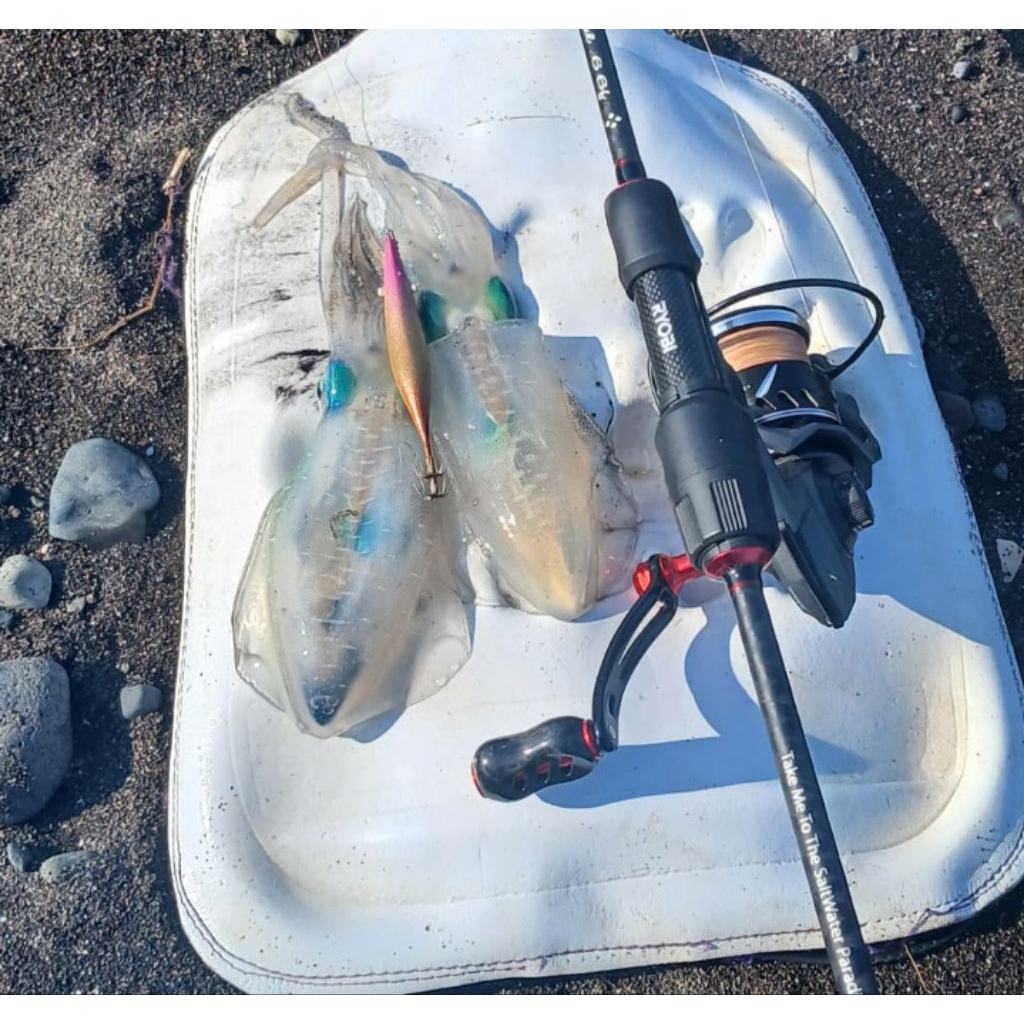 UMPAN CUMI (UDANG-UDANGAN)