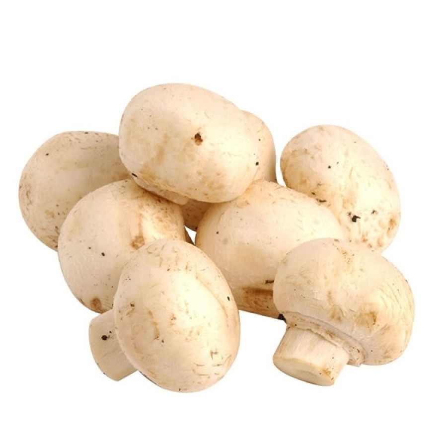 

Jamur kancing / jamur champignon