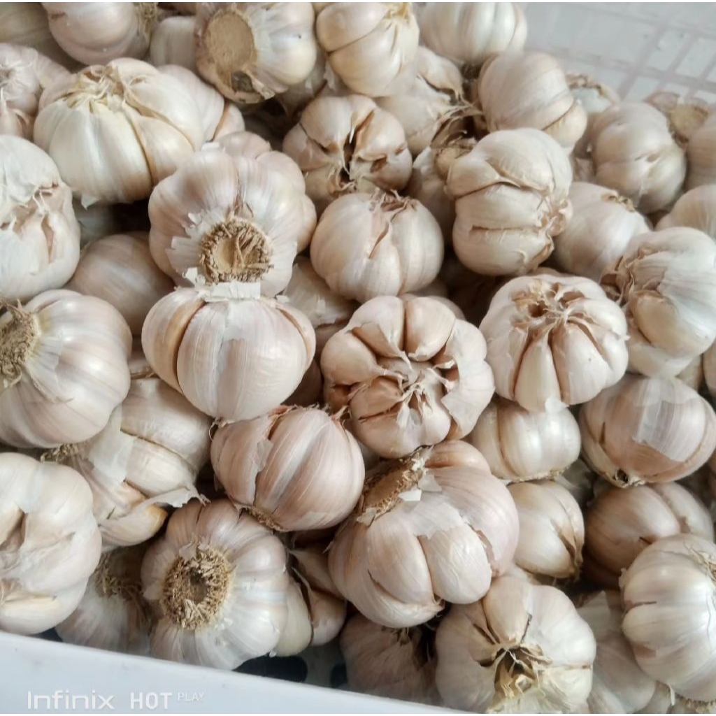 

promo bawang putih 1kg