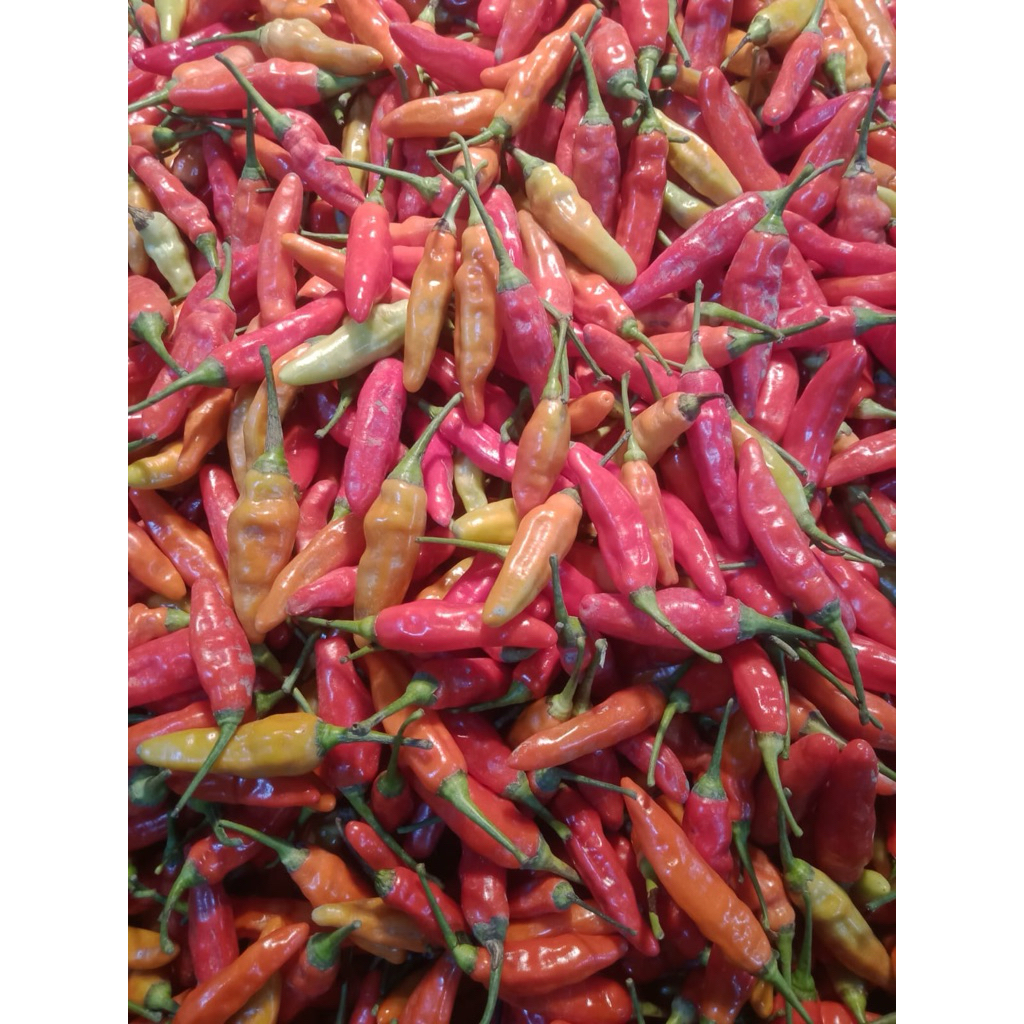 

[SALE] CABE RAWIT 1kg TERMURAH BERKUALITAS FLASH SALE