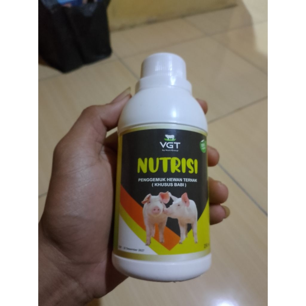 VGT NUTRISI BABI,PENGGEMUK HEWAN TERNAK (KHUSUS BABI).250ML