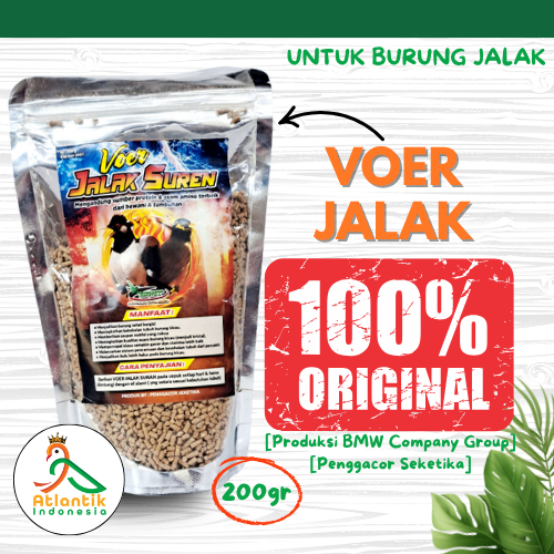 [Terlaris] BMW Voer Pakan Jalak Suren Penggacor burung Makanan pakan burung jalak suren