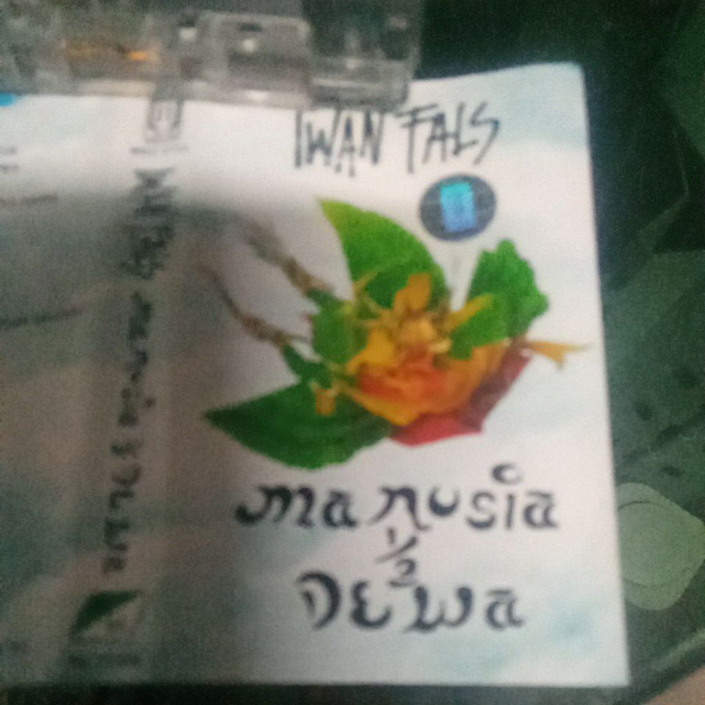 kaset pita IWAN FALS V028