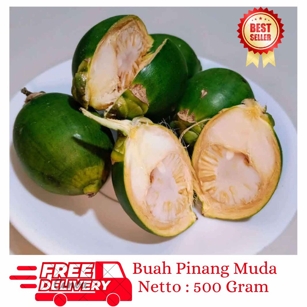

Jual 500 Gram Buah Pinang Fresh-Obat Herbal alami-Penambah Stamina Alami
