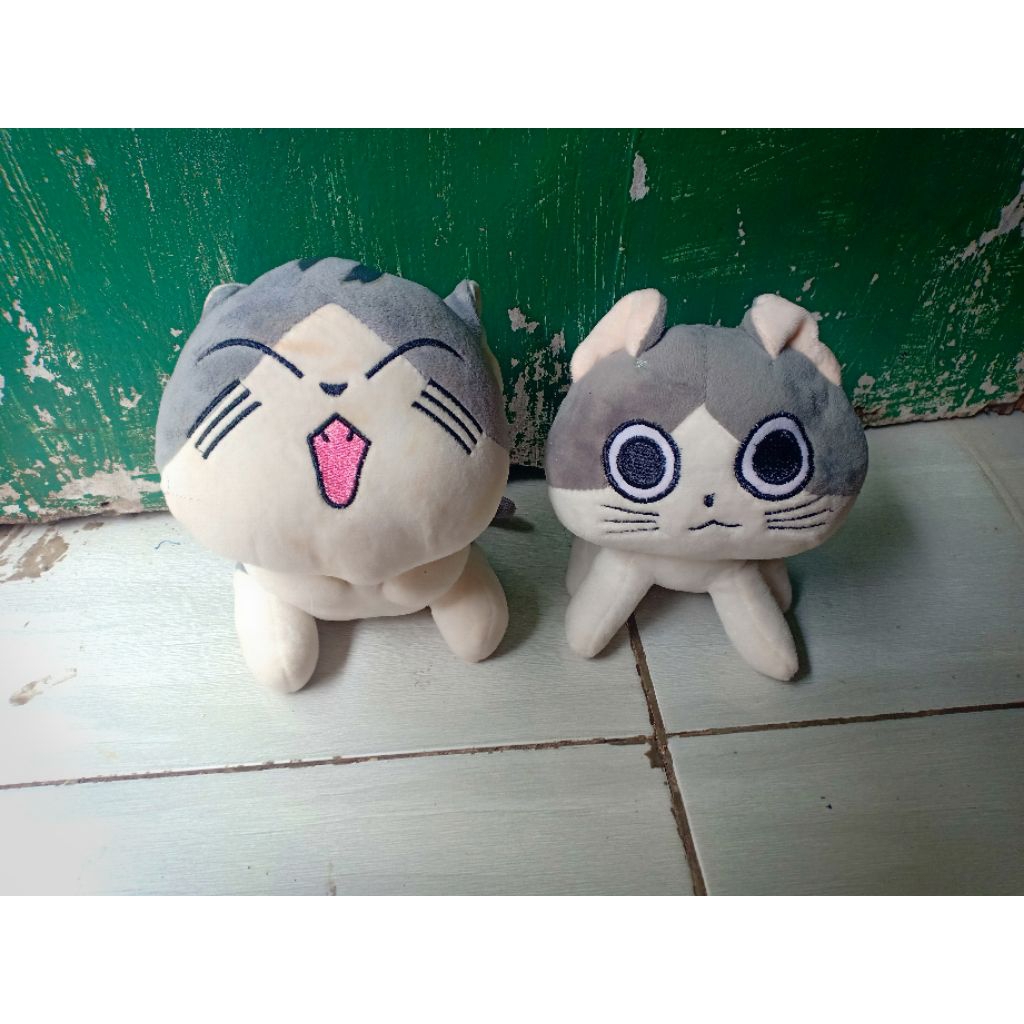 sepasang boneka kucing abu