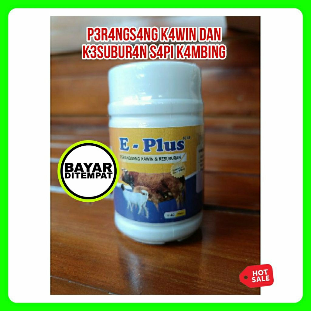 

Tobul Obat Bubul Ayam