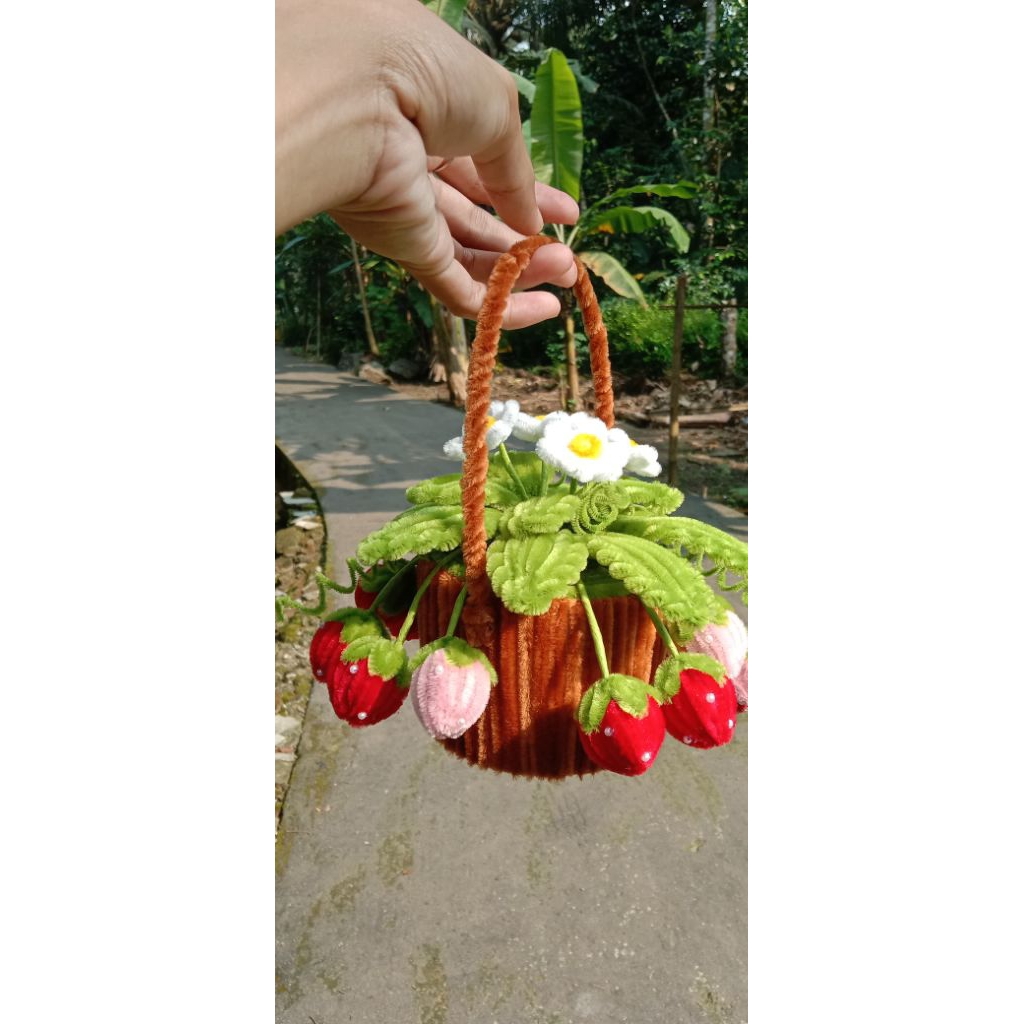 

Tanaman pohon buah strowberry keranjang