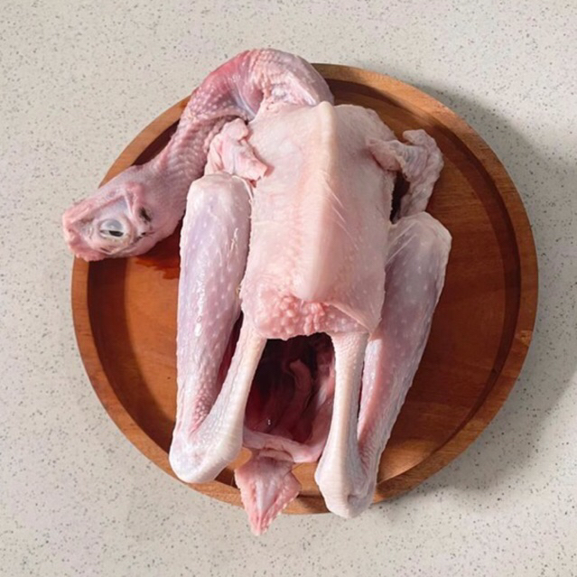 

ayam kampung fresh berbagai ukuran