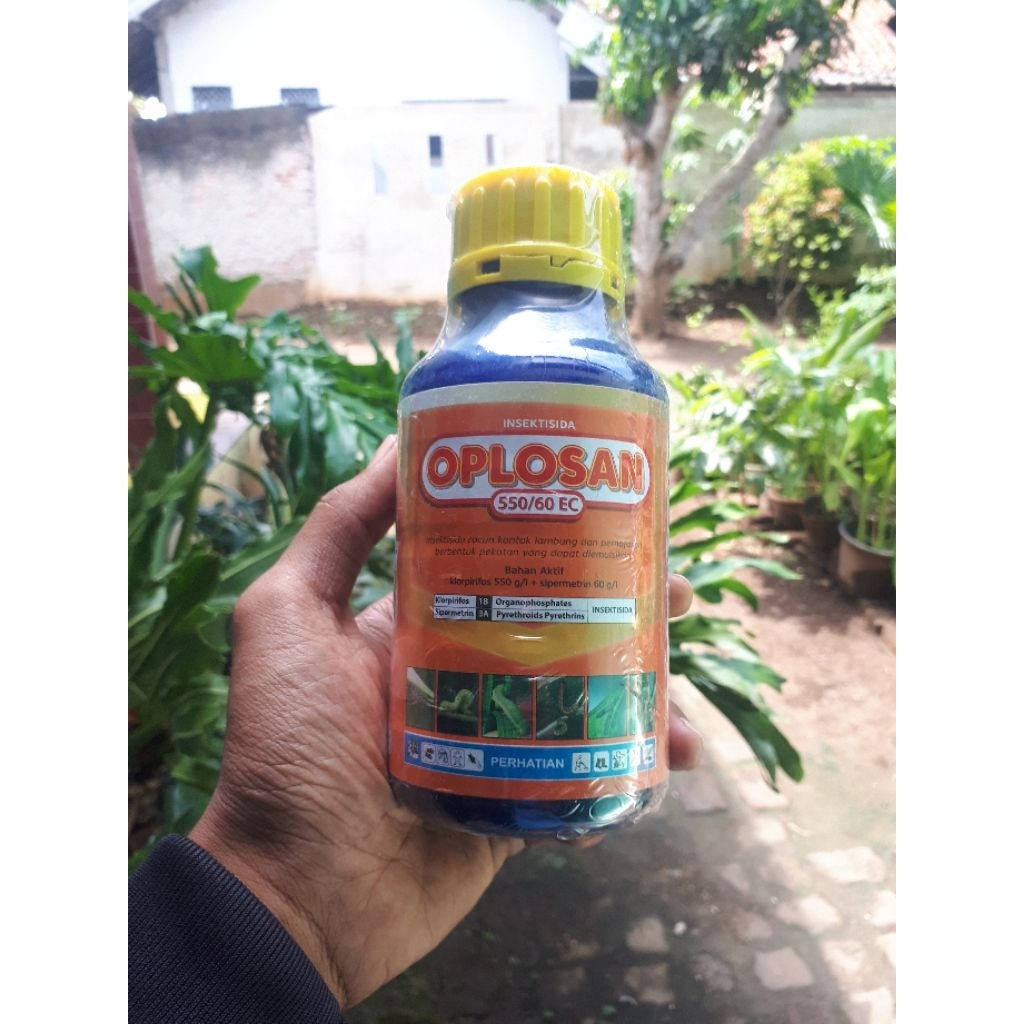 OPLOSAN 550/60EC INSEKTISIDA ULAT GRAYAK