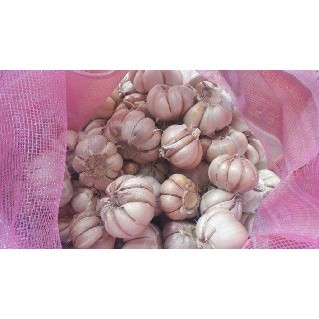 

bawang putih premium 1 kg