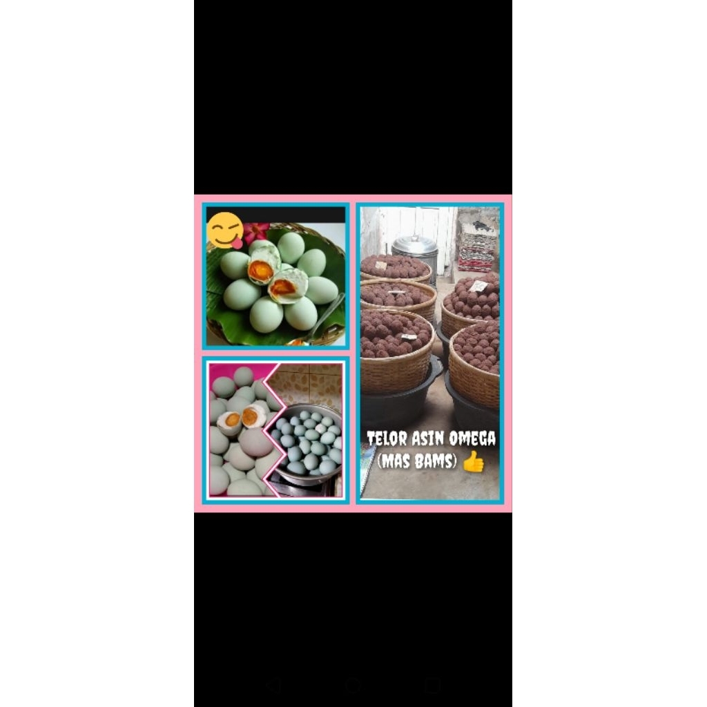 

Telur Asin Omega Telur Bebek Siap Makan Mas Bams
