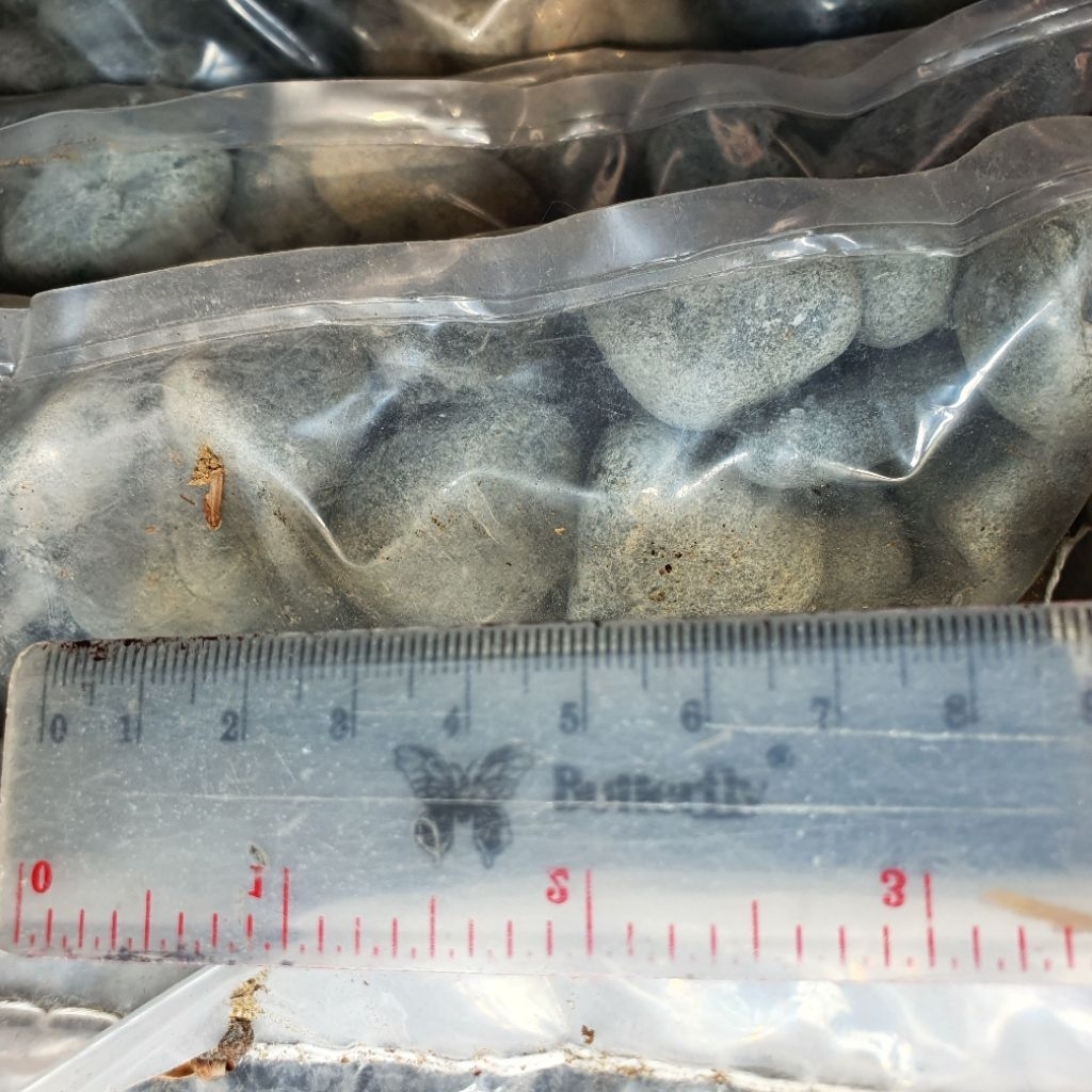 Batu Coral Hias Taman Warna Hitam