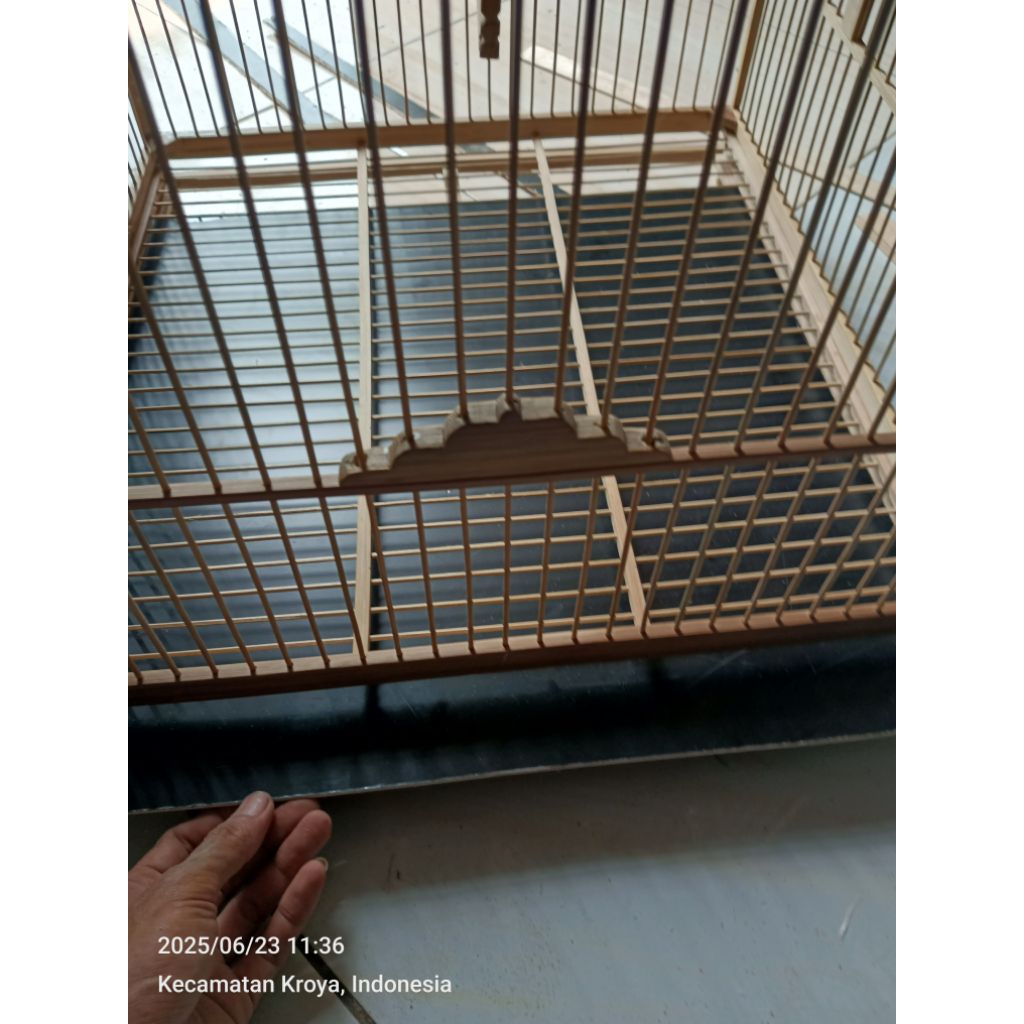sangkar cungkok bambu