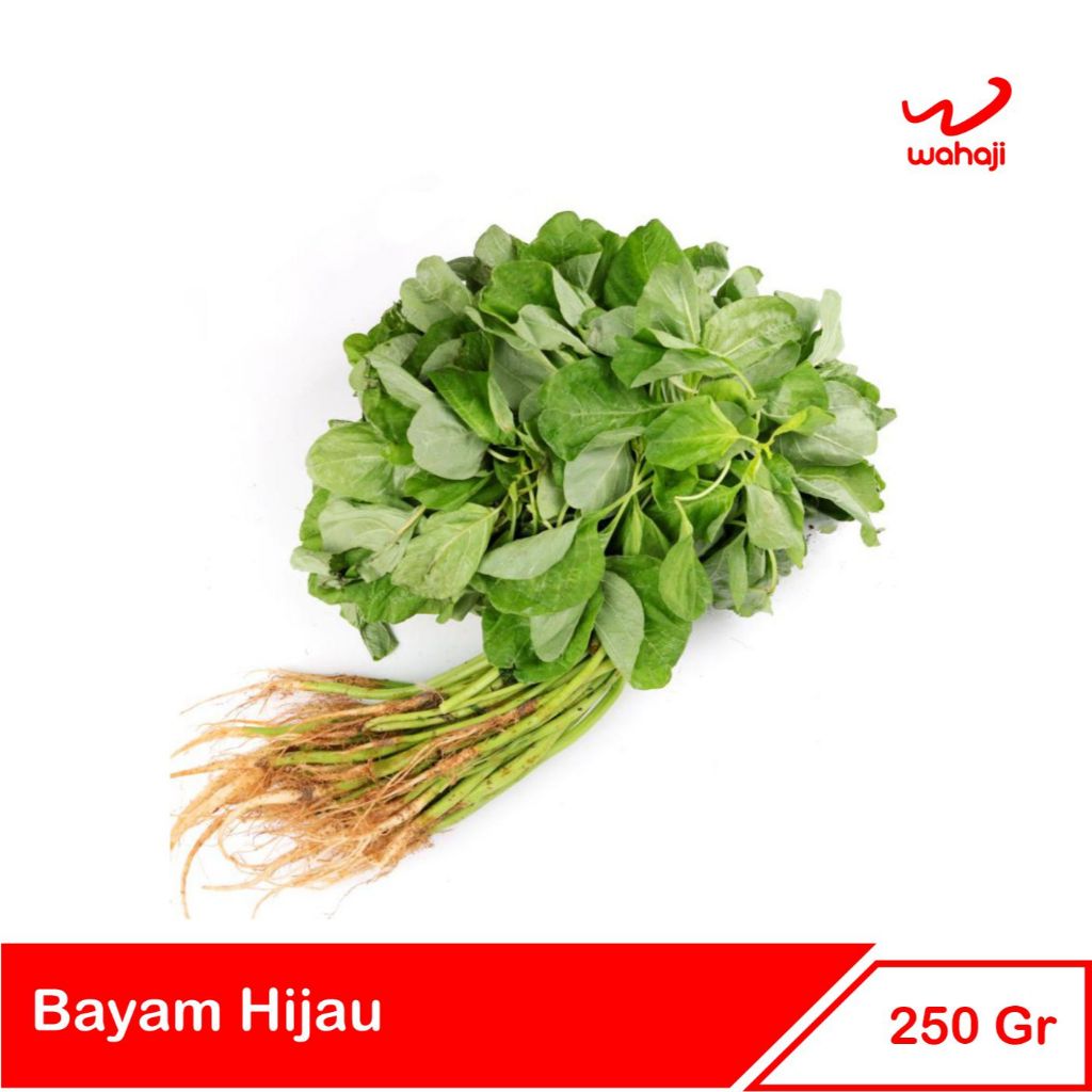 

SAYUR BAYAM HIJAU | VALUE 1 IKAT | WARUNG WAHAJI | WARUNG ONLINE