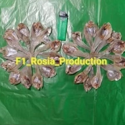 

250GRAM.IKAN.BULU.AYAM.BELAH.MELENGKUNG.HALUS.MULUS.FRESS dan KERING