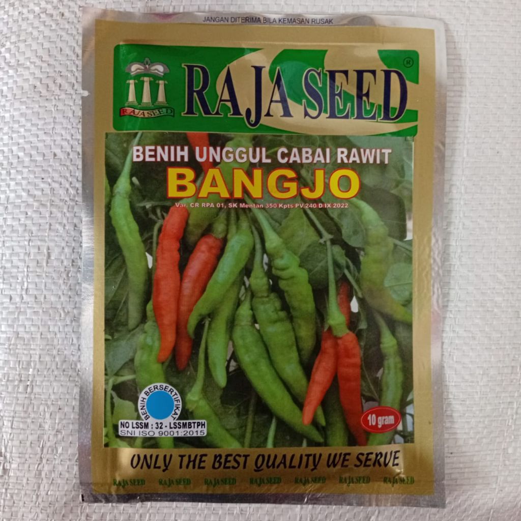benih cabe rawit bangjo 10 gram