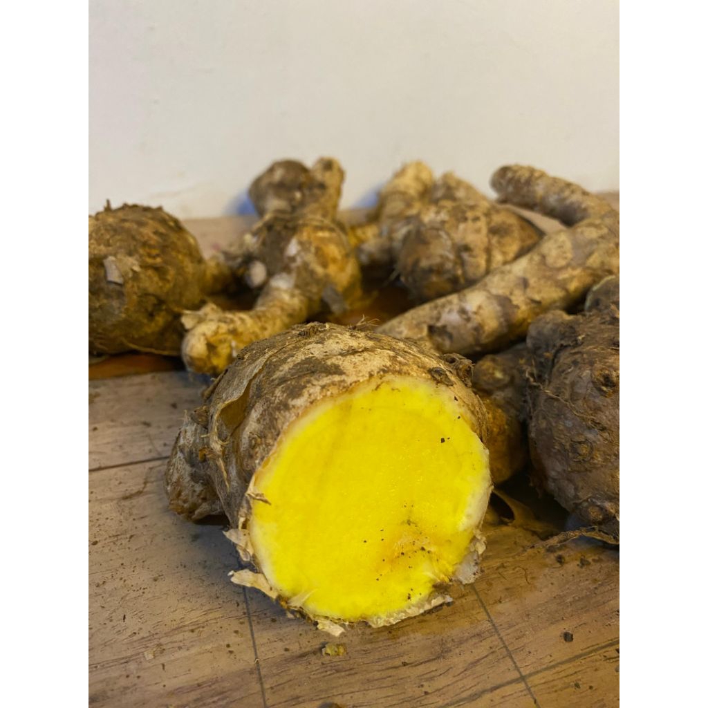 

TEMU MANGGA SEGAR 1KG