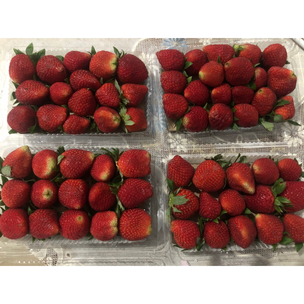 

Strawberry