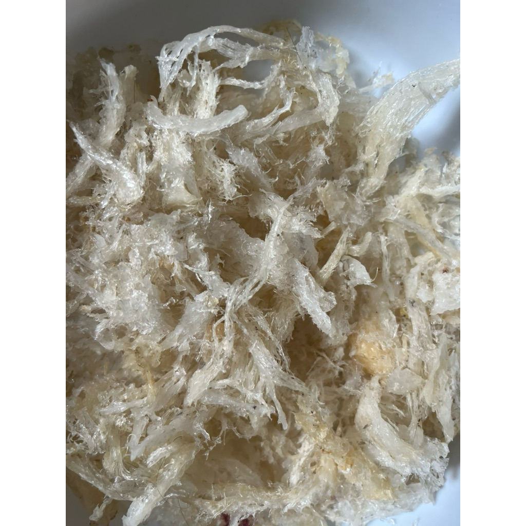 

Sarang Burung Walet Terian Sortir /燕窝 yenwo 100% Asli
