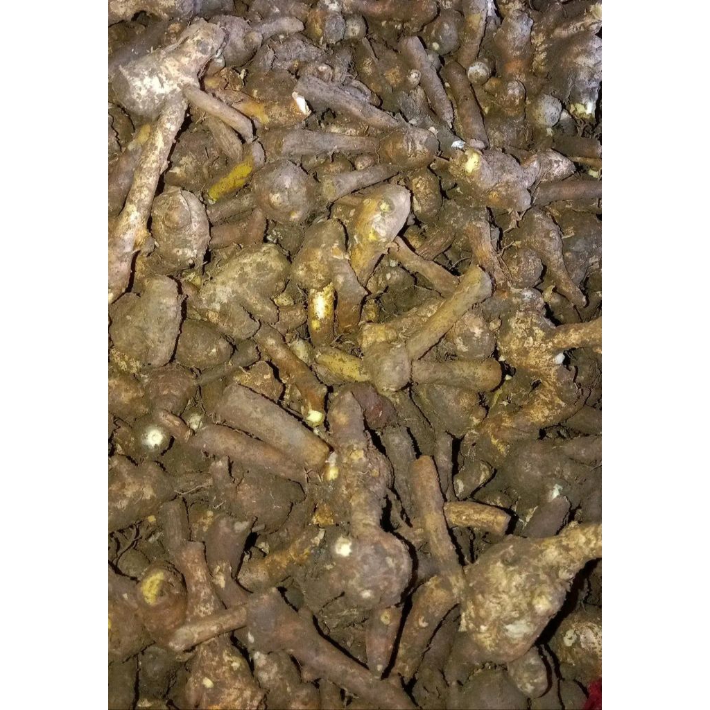 

TEMU KUNCI