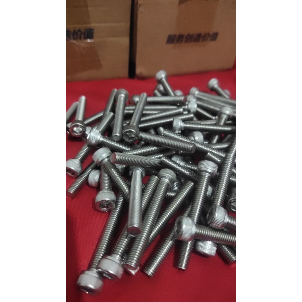 Baut L M6x 45 stainless