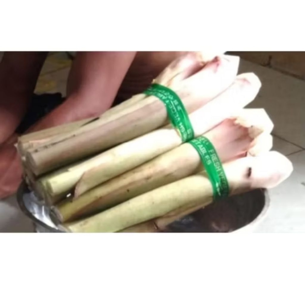 

Batang Talas lompong sayur 1 ikat isi 5 batang udah di kupas fresh segar