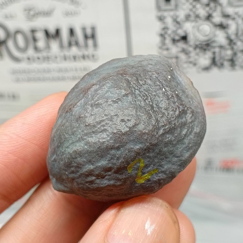 Muncang Adu Anak Pait kode 2