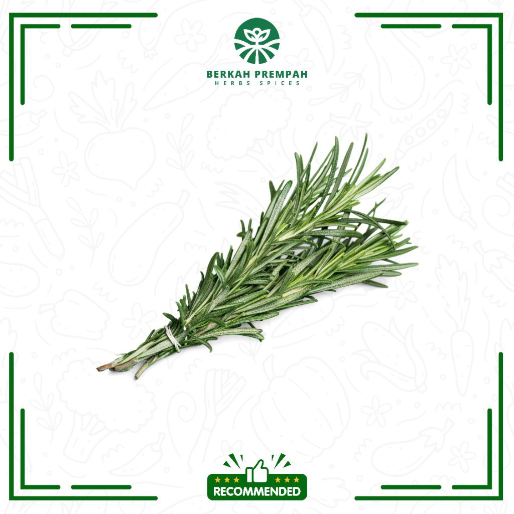 

Daun rosemary segar 1pak - Berkahprempah