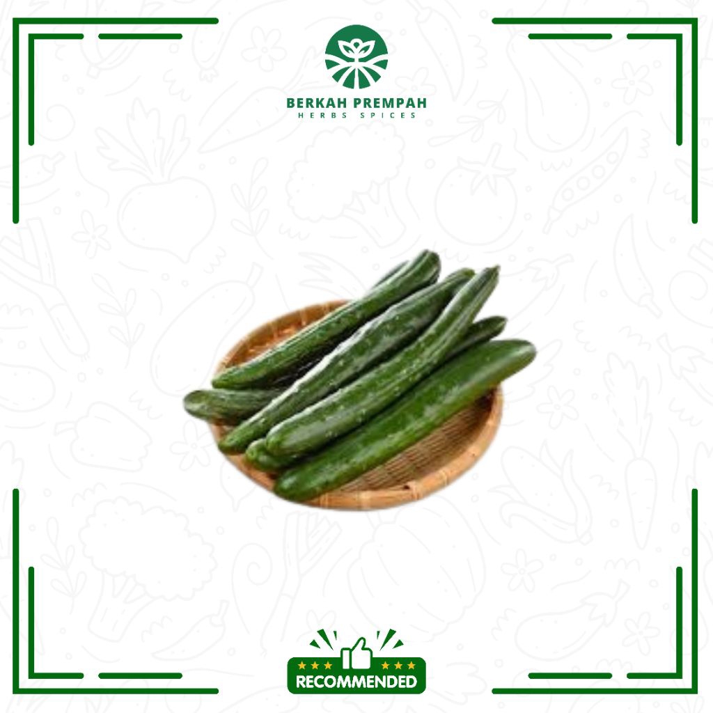 

Timun jepang / Kyuri fresh 1000gr - Berkahprempah