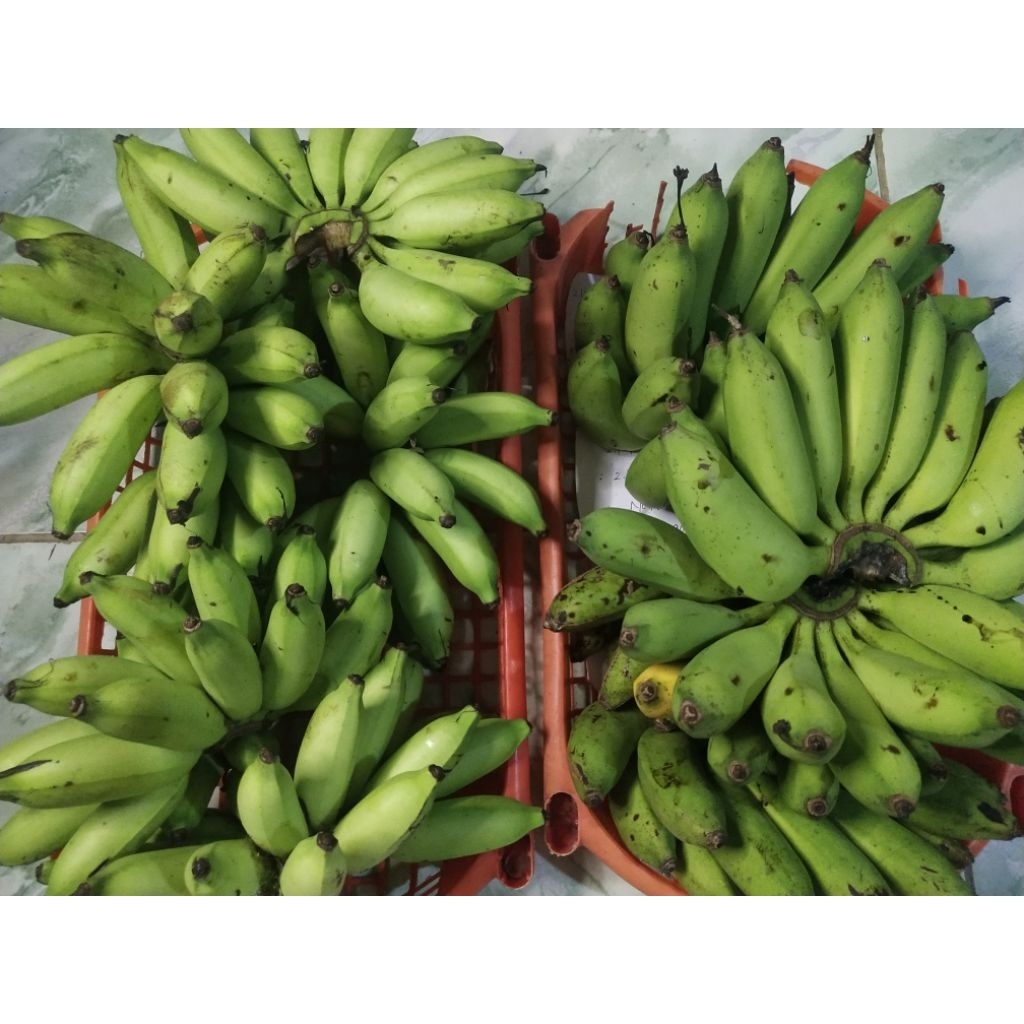 

1 KILO PISANG BERBAGAI JENIS PISANG ADA,DIKIRIM SESUAI PERMINTAAN.